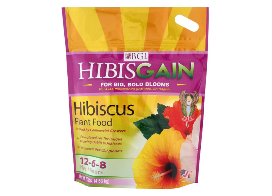 cactus food