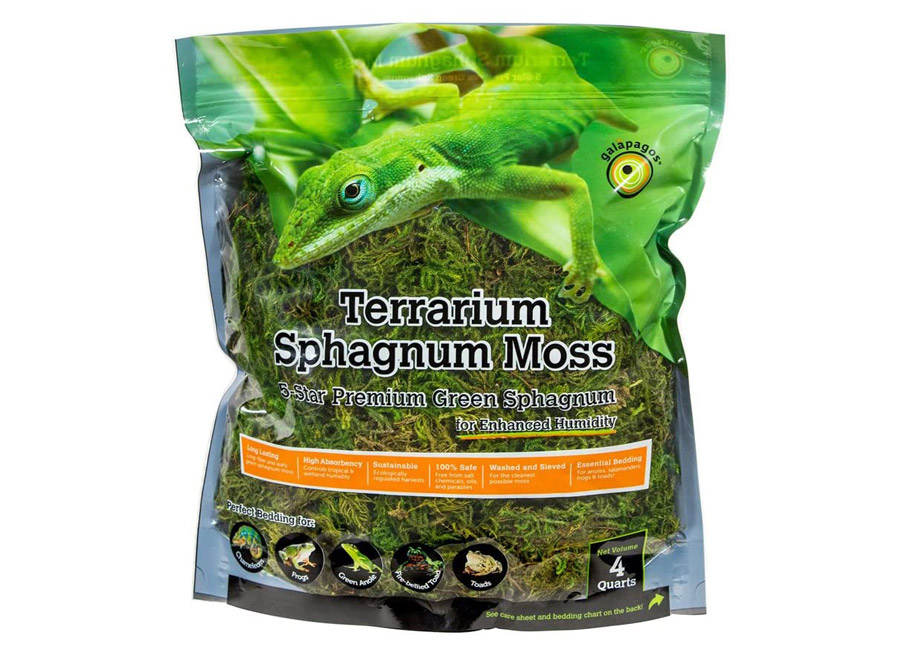 Sphagnum Moss
