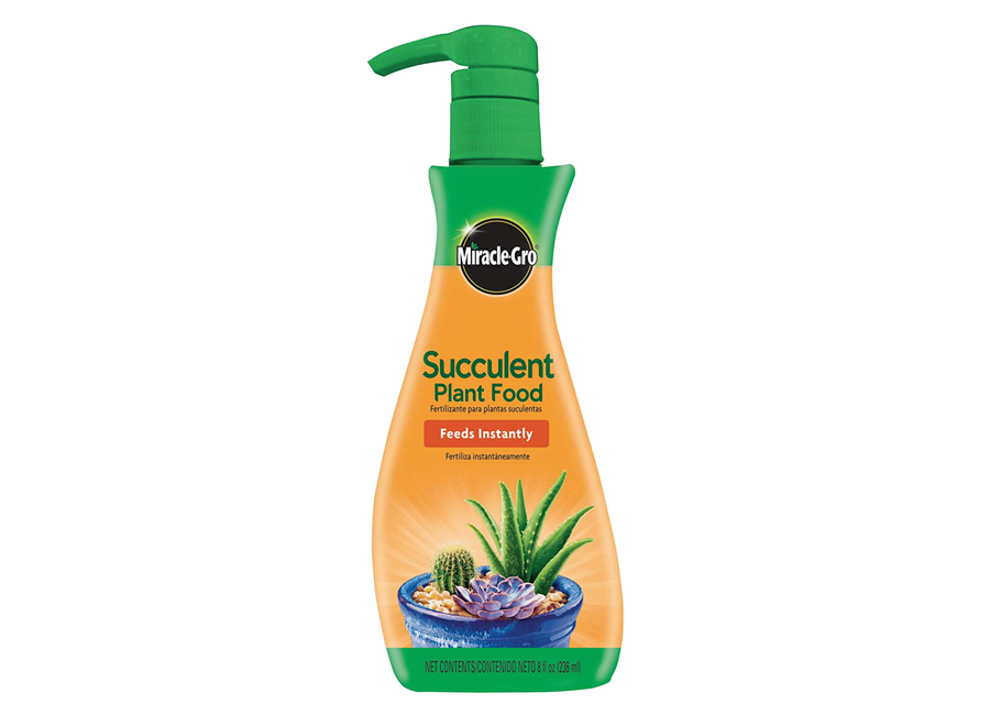 Succculent Food